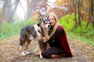 If your old dog wont lay down, there's a good chance they are in pain
