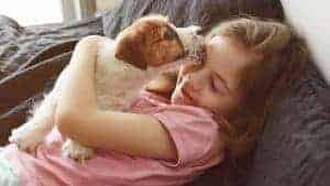 Does your dog put their paw on you when you pet them? Here are some reasons why