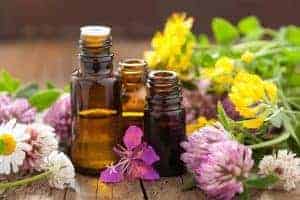 there are a lot of essential oils dogs hate, here are the top 4