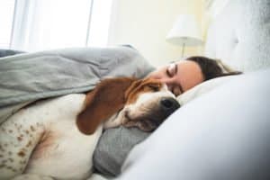 Somtimes dogs are cuddle bugs in the morning hours. Here are eight great reasons dogs like snuggling in the morning.