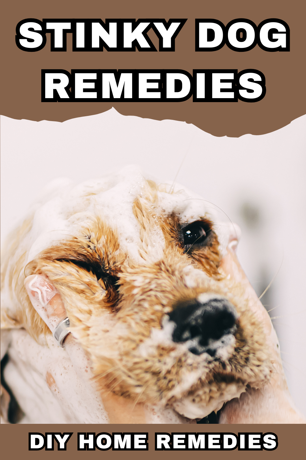 Banish unpleasant odors with this effective stinky dog remedy. Keep your furry friend smelling fresh and clean effortlessly.