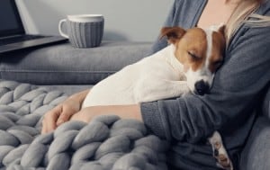 Your dog doesn't actually purr, but sometimes it sounds like it!