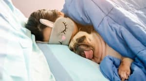 If your dog growls when moved while they're sleeping, they are probably just telling you they liked where they were and don't want to be moved.
