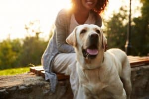 Does your dog twitch when touched on the back? Here are the common reasons why this happens.