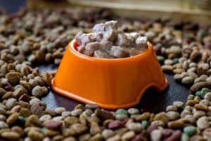 If you want to make dry dog food wet, here are some simple methods