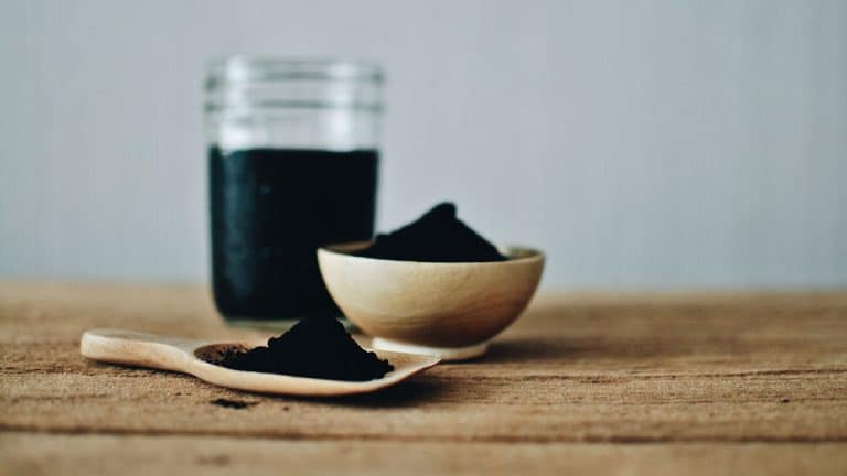 powdered charcoal that's easy for dogs to eat
