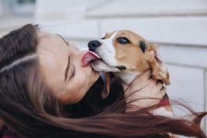 If you have a dog that's a morning licker, you're probably wondering why