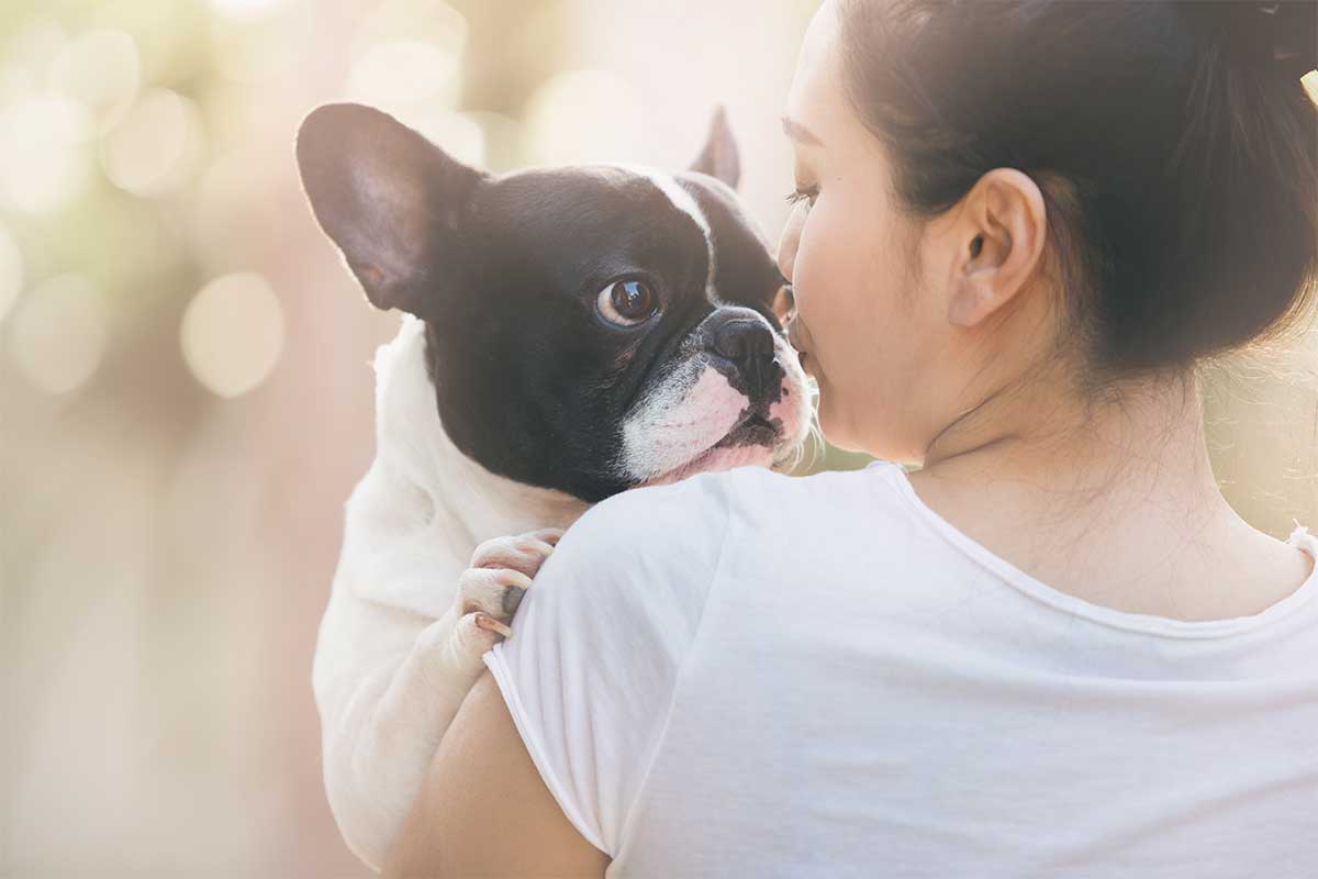 dog obsessed with owner and cuddling