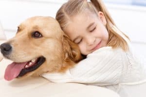 dog protecting child