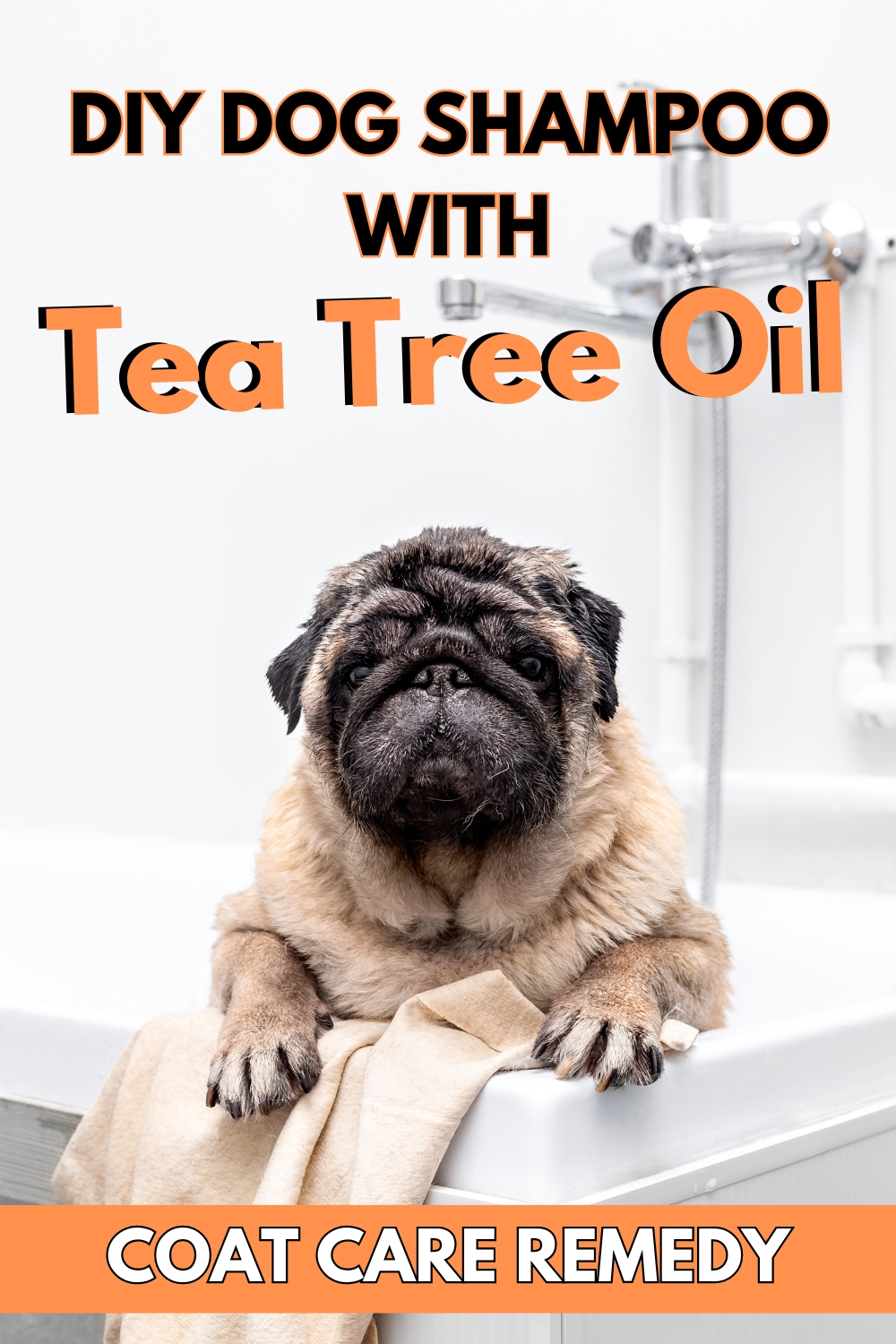 "Create your own DIY dog shampoo with tea tree oil. Treat your pup to a refreshing and natural bathing experience.