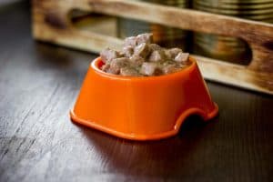A bowl of wet dog food from the can
