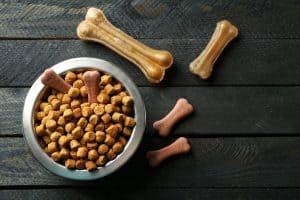 grain free dog food