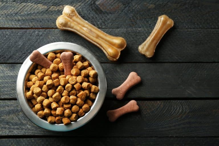 grain free dog food