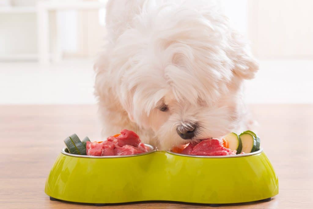 What is the Best Organ Meat For Dogs?