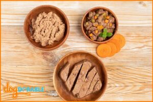 great food options for dogs who suffer from food allergies