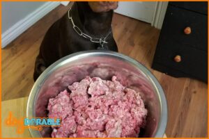 A dog about to eat raw meat from a bowl