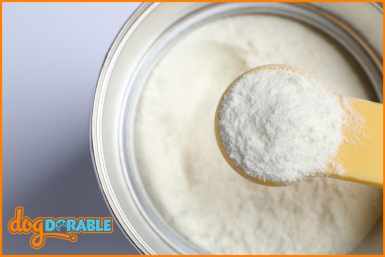 Understanding grooming choices: Can I put baby powder on my dog? Exploring Safe Uses of Baby Powder for Canine Care.