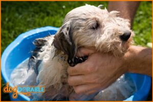 Flea control strategies: How often can I bathe my dog with flea shampoo - Maintaining Canine Hygiene in Flea-Prone Environments.