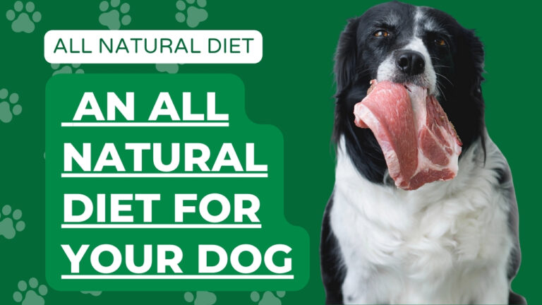 Explore an all-natural diet for dogs. Learn about the benefits and considerations of feeding your dog a natural, whole-foods-based diet.