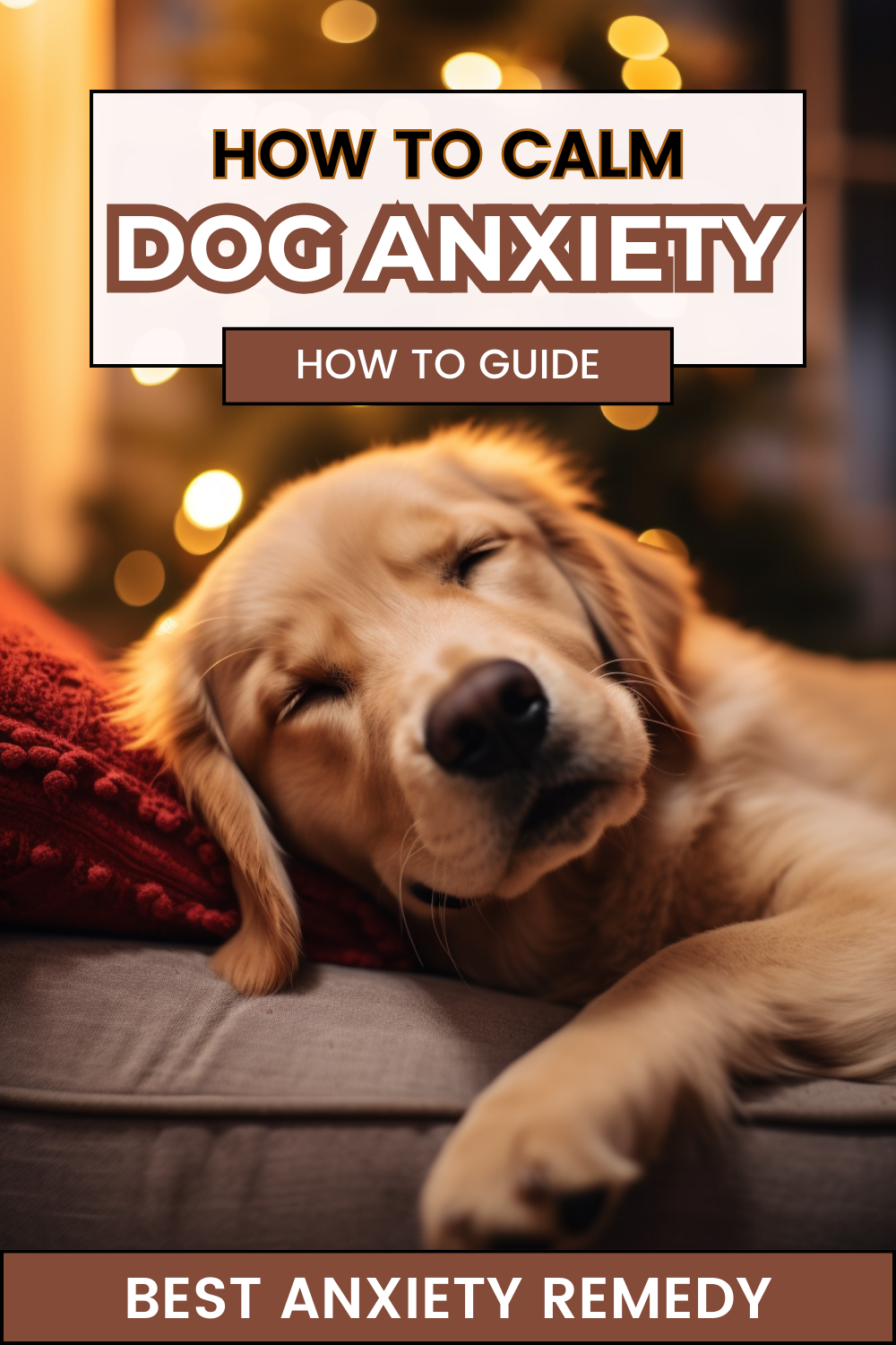 Calm your dog's anxiety with practical tips and strategies. Understand how to create a soothing environment for your furry friend.
