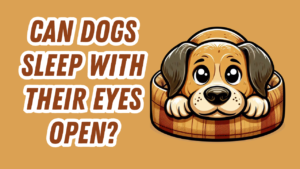 a dog asleep on his dog bed but eyes are open