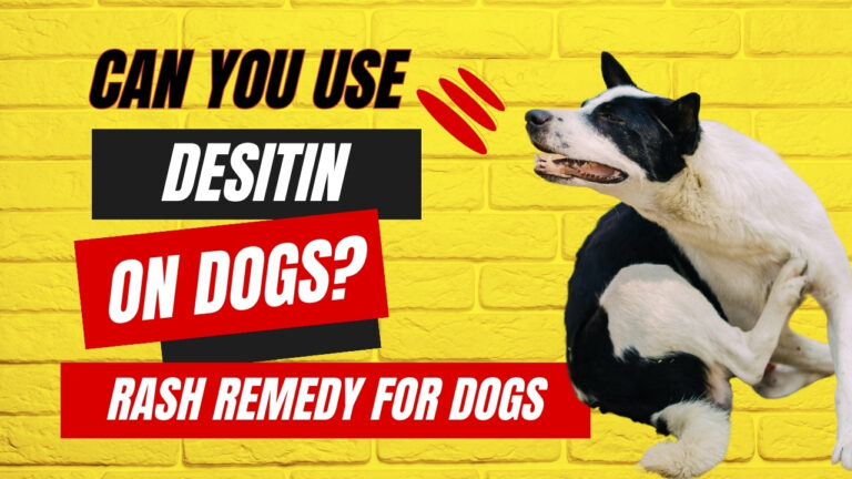 Can you use Desitin on your dog? Explore the safety and considerations of using Desitin for canine skin issues.