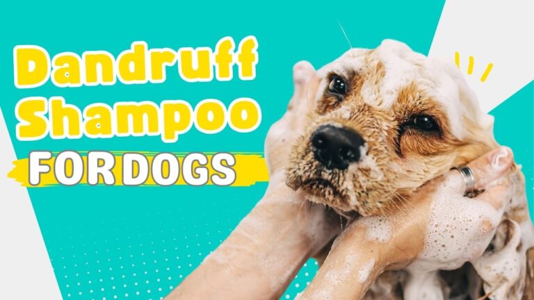 Bottle of dandruff shampoo next to wet dog with suds for "can you use dandruff shampoo on dogs"