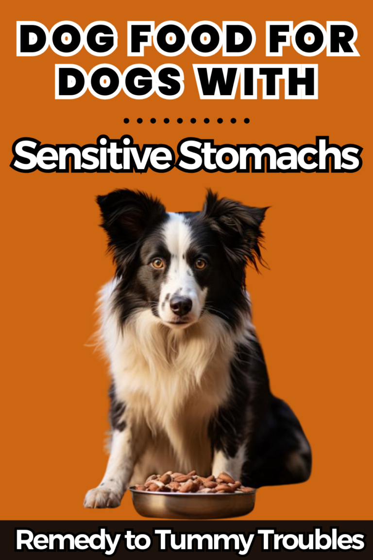 Best Protein for Dogs with Sensitive Stomachs [Novel Options] – Dogdorable