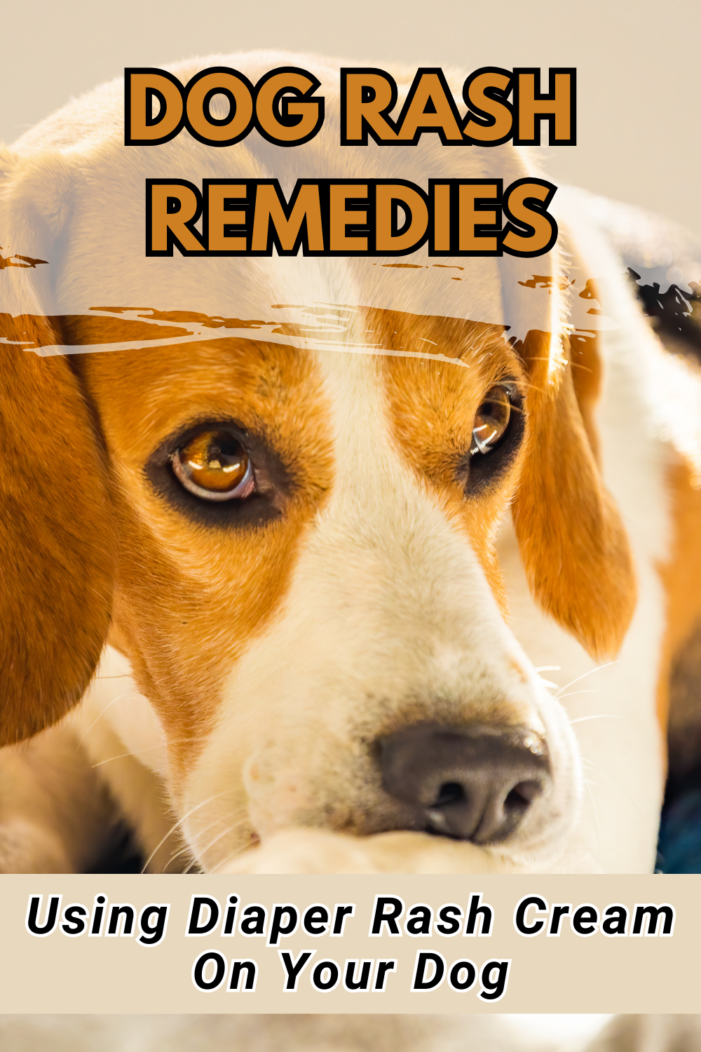 Alleviate your dog's rash with natural remedies. Explore options for providing relief and promoting healing for various skin irritations.