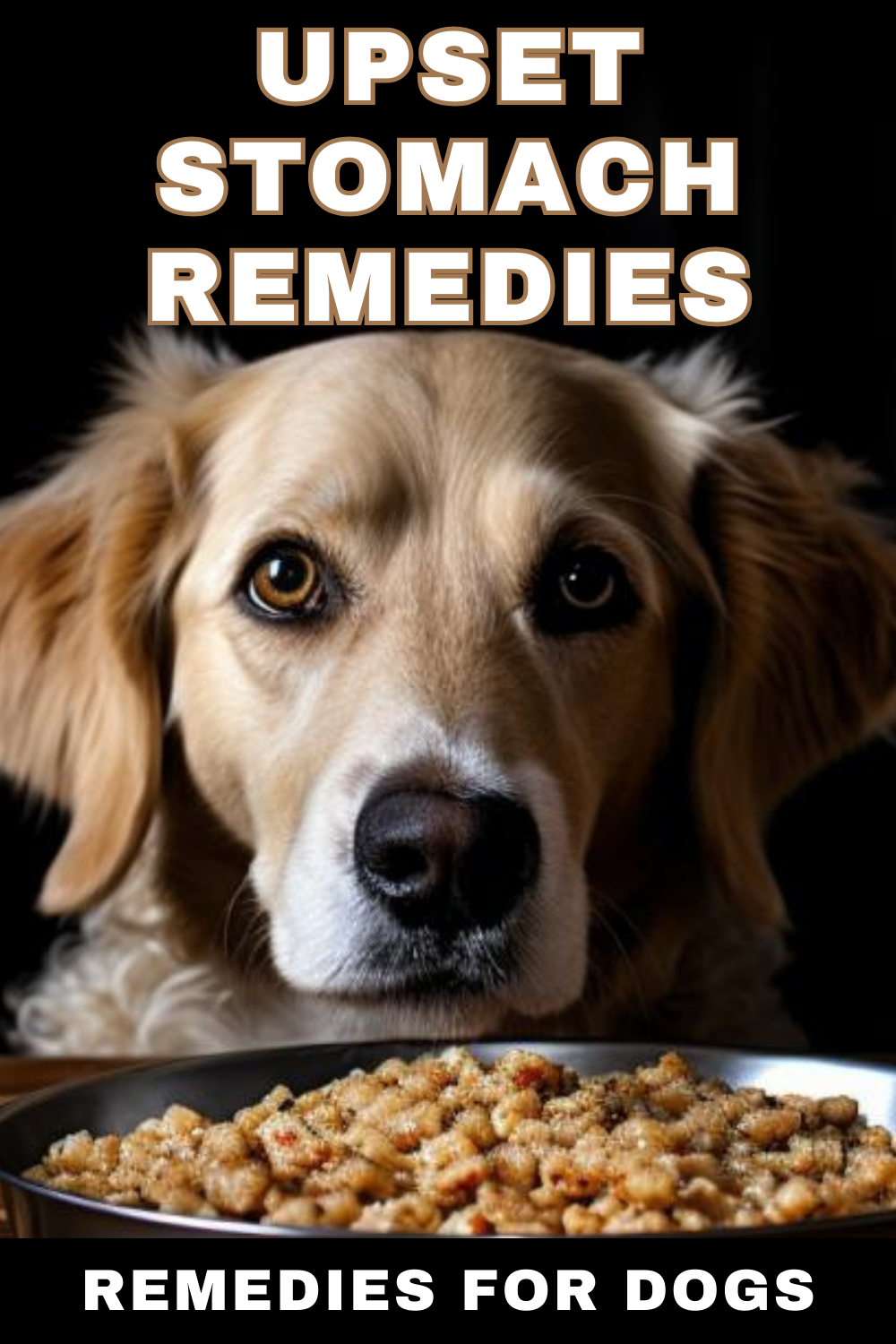 Address dog upset stomach with practical remedies. Learn about solutions to ease digestive discomfort.