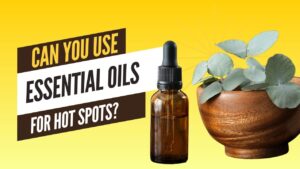 Bottles of various essential oils with a dog silhouette, suggesting their use for treating hot spots on dogs
