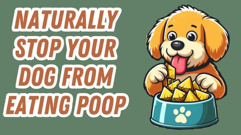 Woman dismayed by her poop-eating dog asking how to cure it
