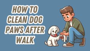 a man cleaning his dogs paws after a walk
