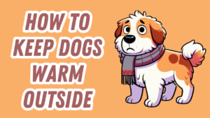 a cold dog with a scarf on