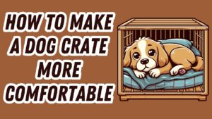 Woman adding pillow, toys and treats to plain dog crate to create comfy den