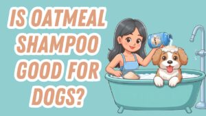Bottle of oatmeal dog shampoo and photo of a clean happy Poodle after a bath