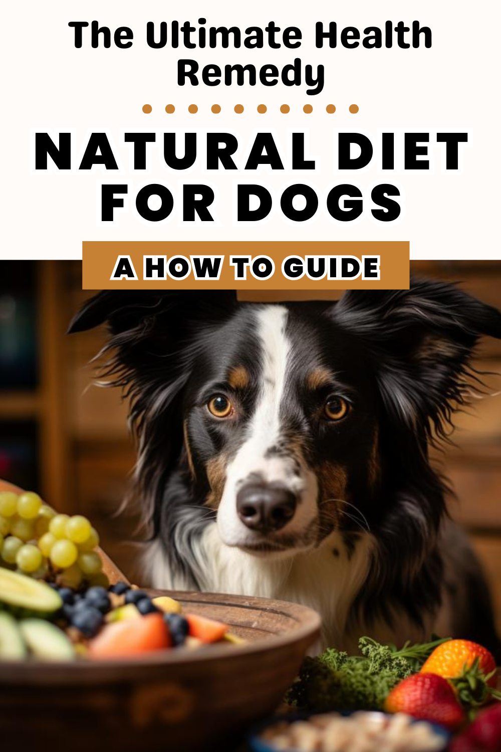 Consider a natural diet for dogs. Explore the benefits and considerations of feeding your dog a wholesome and natural diet.
