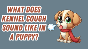 a dog that appears to be sick and is coughing