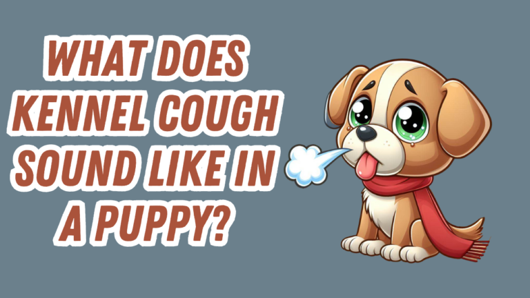 a dog that appears to be sick and is coughing