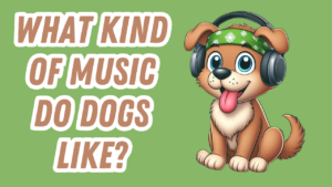 a dog with headphones on listening to music