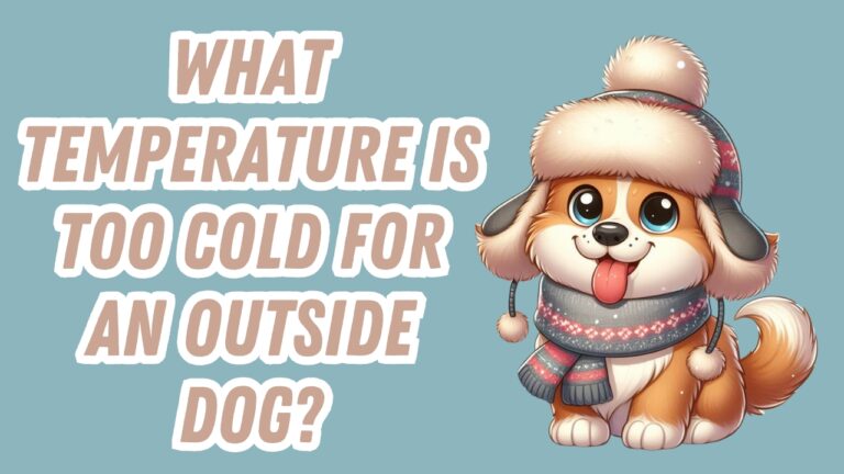 Freezing whimpering dog left chained outside below safe cold temperature for dogs