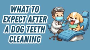 a dog getting his teeth cleaned