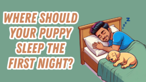 a puppy sleeping on the same bed as its owner