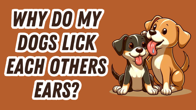 a dog licking another dogs ear