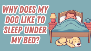 dog sleeping under the bed