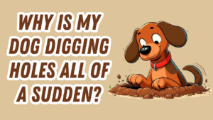 a dog digging a hole in the dirt