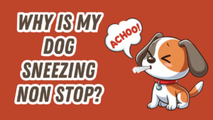 a dog sneezing with an "achoo" thought bubble
