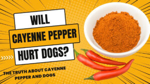 cayenne pepper dog: Cautionary image - Cayenne pepper and dogs - Safety tips