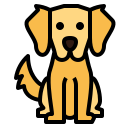 Golden Retriever icon