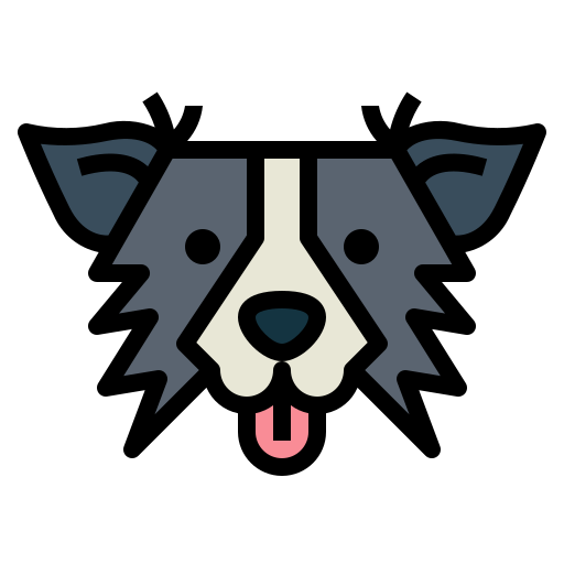 Border Collie icon